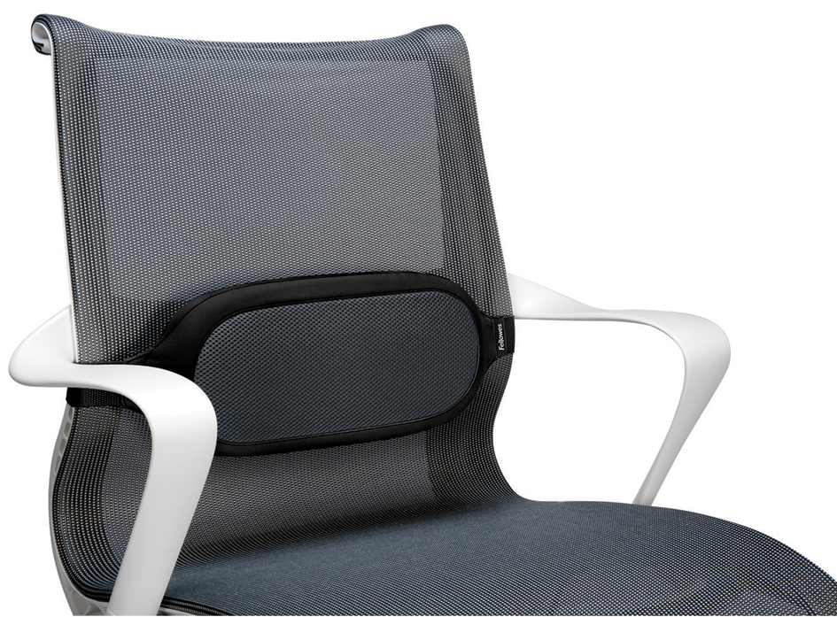 8042301-1 Fellowes Lendenkissen I-Spire, grau