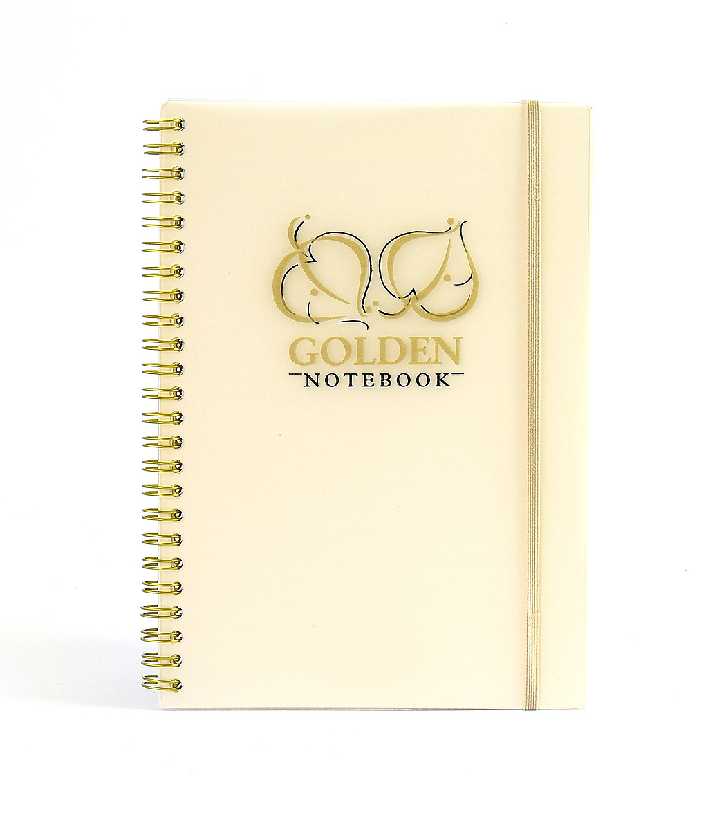 734366c80551367281f1454670797c0c Notizbuch "Golden&Silver", liniert, PP-Transparentcover, Wire-O-Bindung - gold & Format