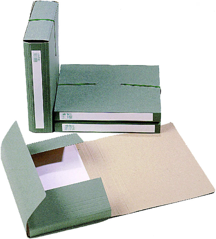 12-40 extendos Sammelbox 1240, für DIN A4, aus Karton, grün