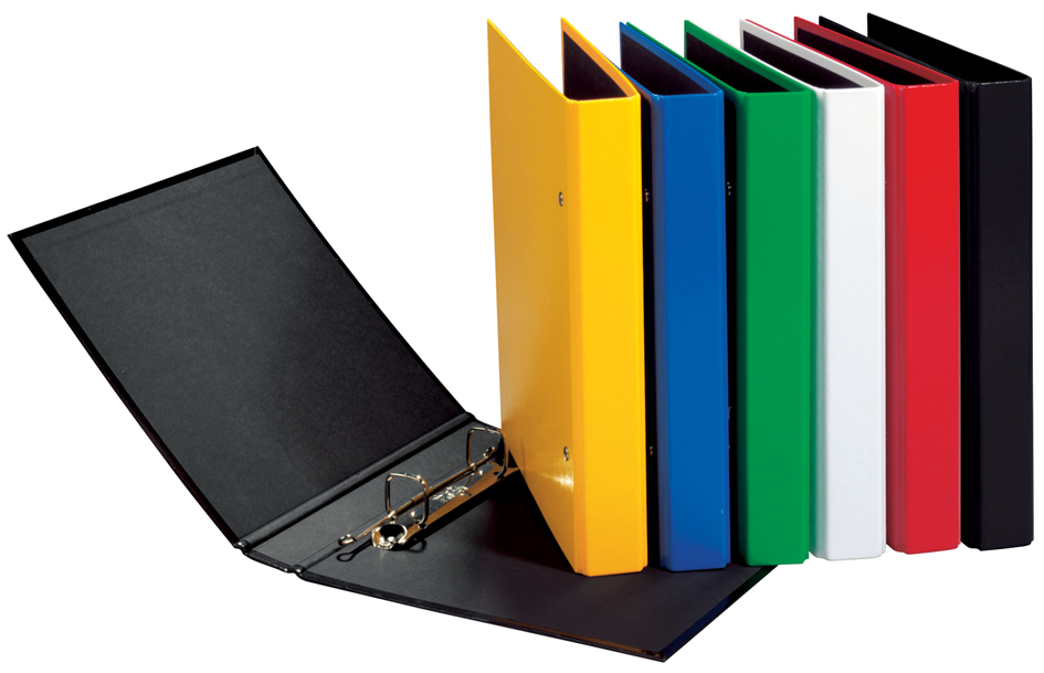 2040758934400df7bd PAGNA Ringbuch ´Basic Colours´, 2 Bügel-Mechanik, grün