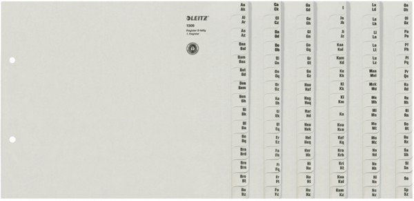 LEITZ Tauenpapier-Register, A-Z, für 8 Ordner, grau