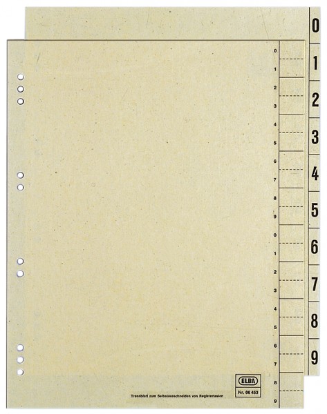 ELBA Trennblätter, 2-seitig bedruckt, chamois, 240 x 300 mm