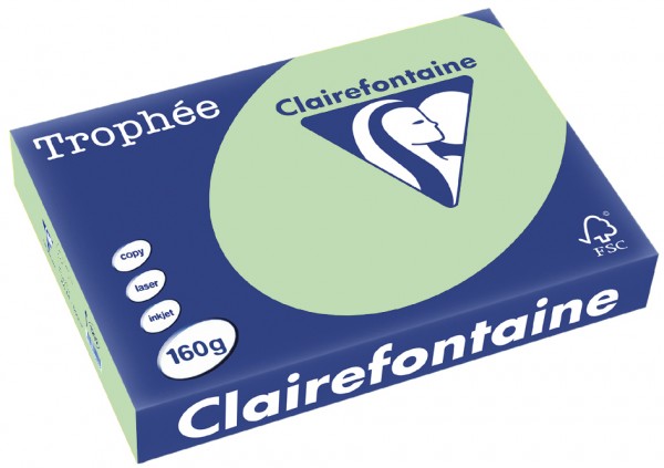 Clairefontaine Trophée Papier 1107C, A4, 160 g/m² - grün - grün