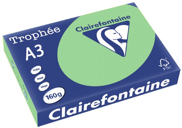 Clairefontaine Trophée Papier 1119C, A3, 160 g/m² - naturgrün - naturgrün