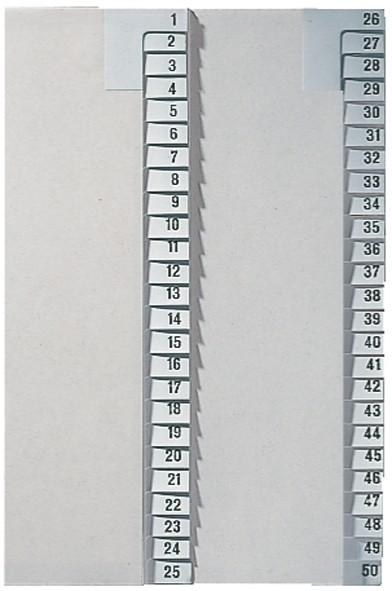 LEITZ Tauenpapier-Register, Zahlen, A4 Überbreite, 1-25,grau
