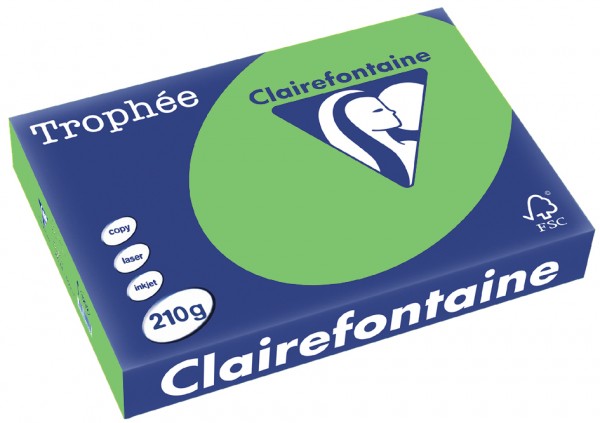 Clairefontaine Trophée Papier 2208C, A4, 210 g/m² - maigrün - maigrün