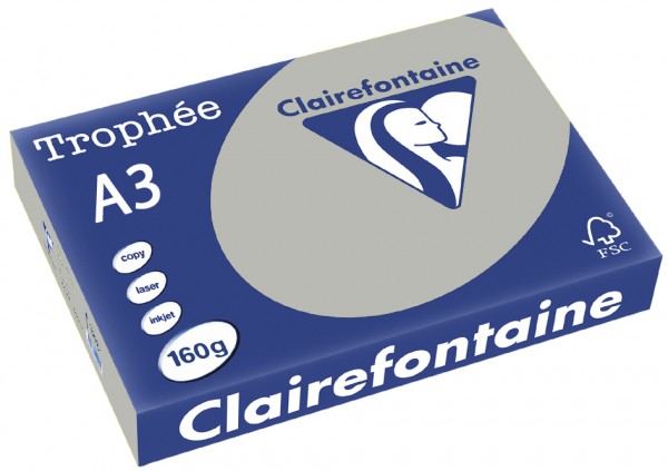Clairefontaine Trophée Papier 1065C, A3, 160 g/m² - hellgrau - hellgrau