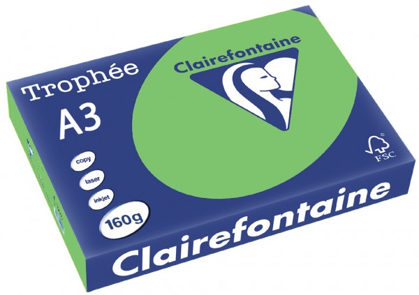 Clairefontaine Trophée Papier 1035C, A3, 160 g/m² - maigrün - maigrün