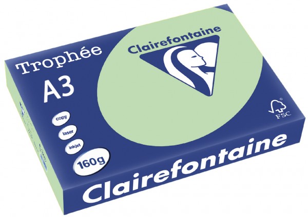 Clairefontaine Trophée Papier 1114C, A3, 160 g/m² - grün - grün