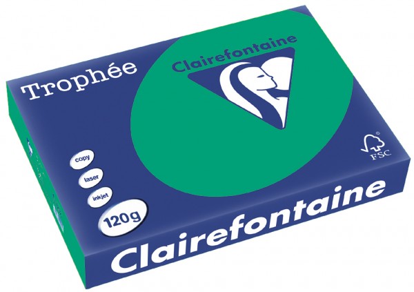 Clairefontaine Trophée Papier 1224C, A4, 120 g/m² - tannengrün - tannengrün