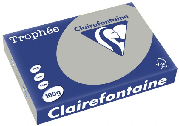 Clairefontaine Trophée Papier 1041C, A4, 160 g/m² - grau - grau