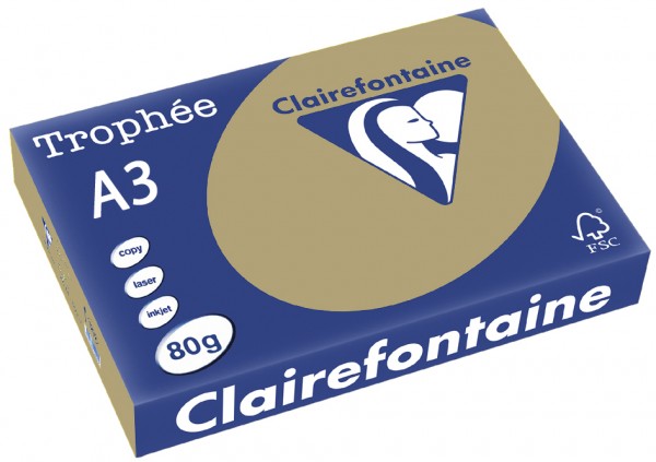 Clairefontaine Trophée Papier 1254C, A3, 80 g/m² - camel - camel